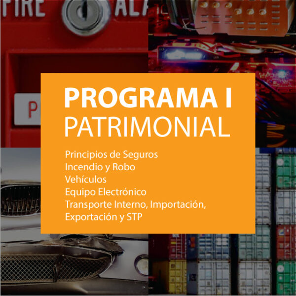 Programa de seguros patrimoniales