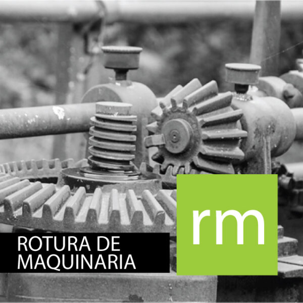 Curso del Ramo de Rotura de Maquinaria